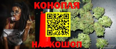 PSILOCYBIN Кандалакша