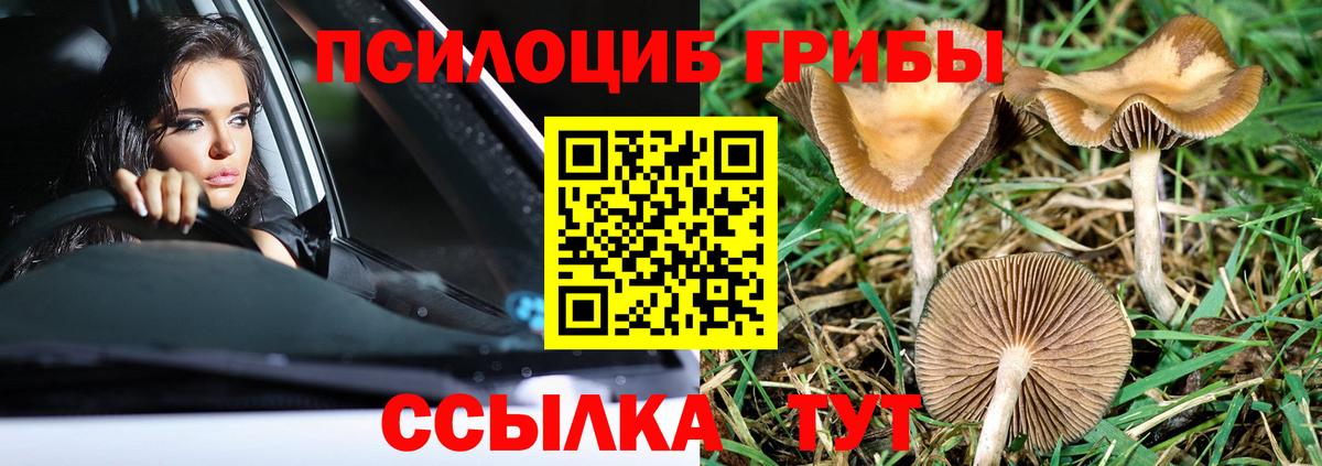 Галлюциногенные грибы Cubensis Десногорск