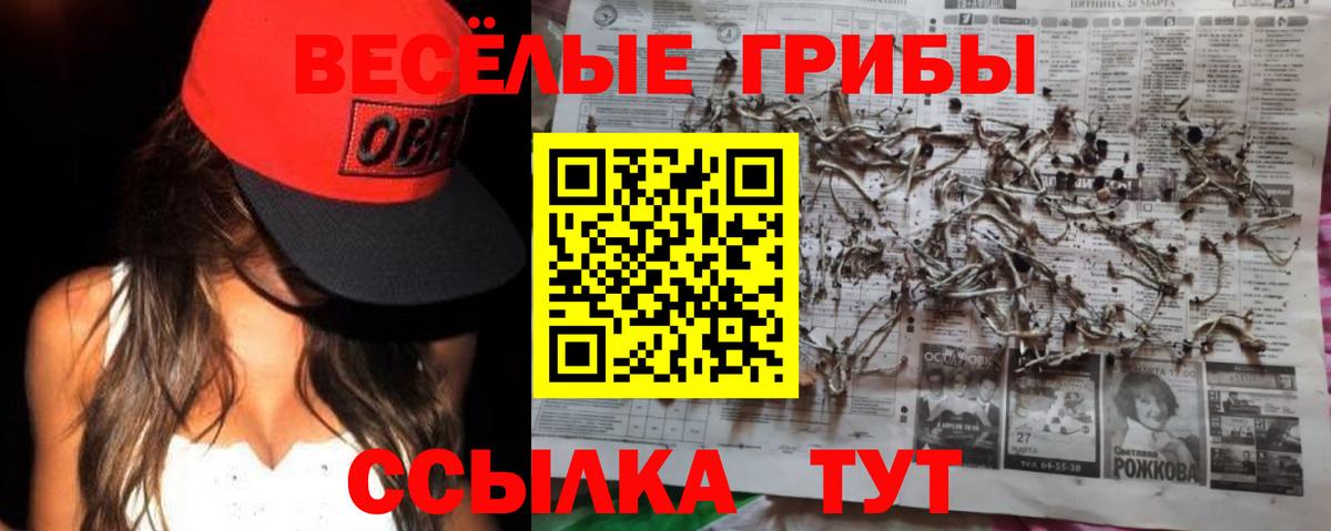 Десногорск  Псилоцибиновые грибы мухоморы  Галлюциногенные грибы GOLDEN TEACHER  Вход с VPN 